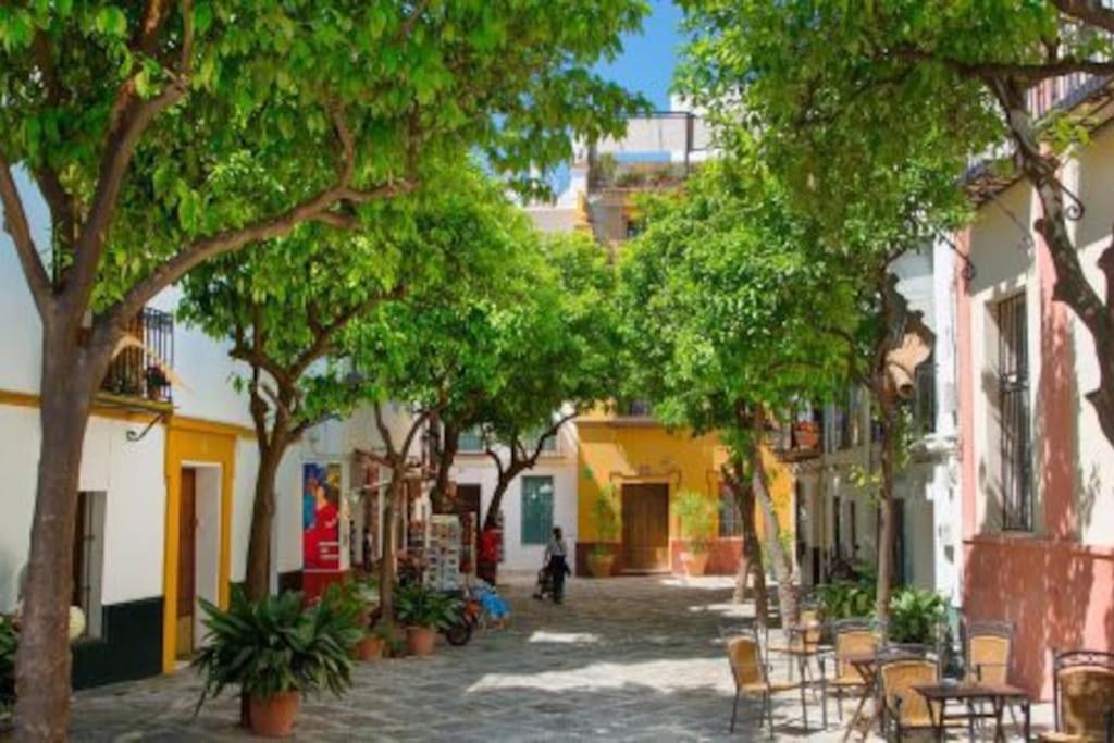 Beautiful Ap 3 Bedroom 6px Center Refurbished19 Apartamento Sevilla